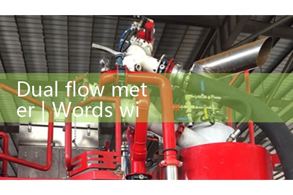 dual flow meter|gas flow meter